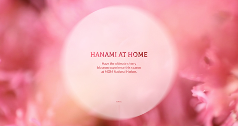 MGM-Hanami at Home