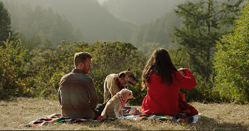 Purina-Chasing the Promise of Zero-Waste Living