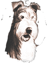 owney